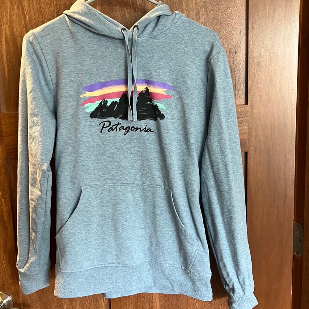 Patagonia Hoodie, Moderately Worn.